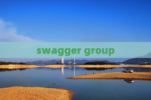 swagger group swagger group